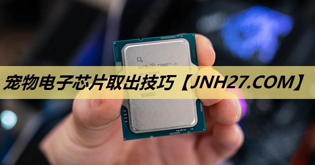 宠物电子芯片取出技巧