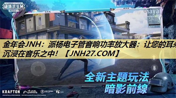 金年会JNH：派杨电子管音响功率放大器：让您的耳朵沉浸在音乐之中！