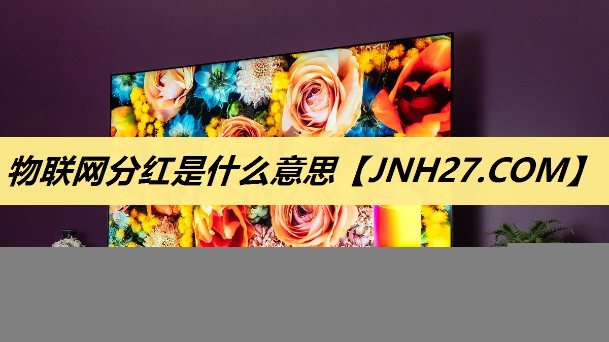 物联网分红是什么意思