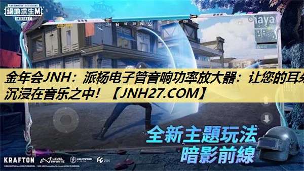 派杨电子管音响功率放大器：让您的耳朵沉浸在音乐之中！