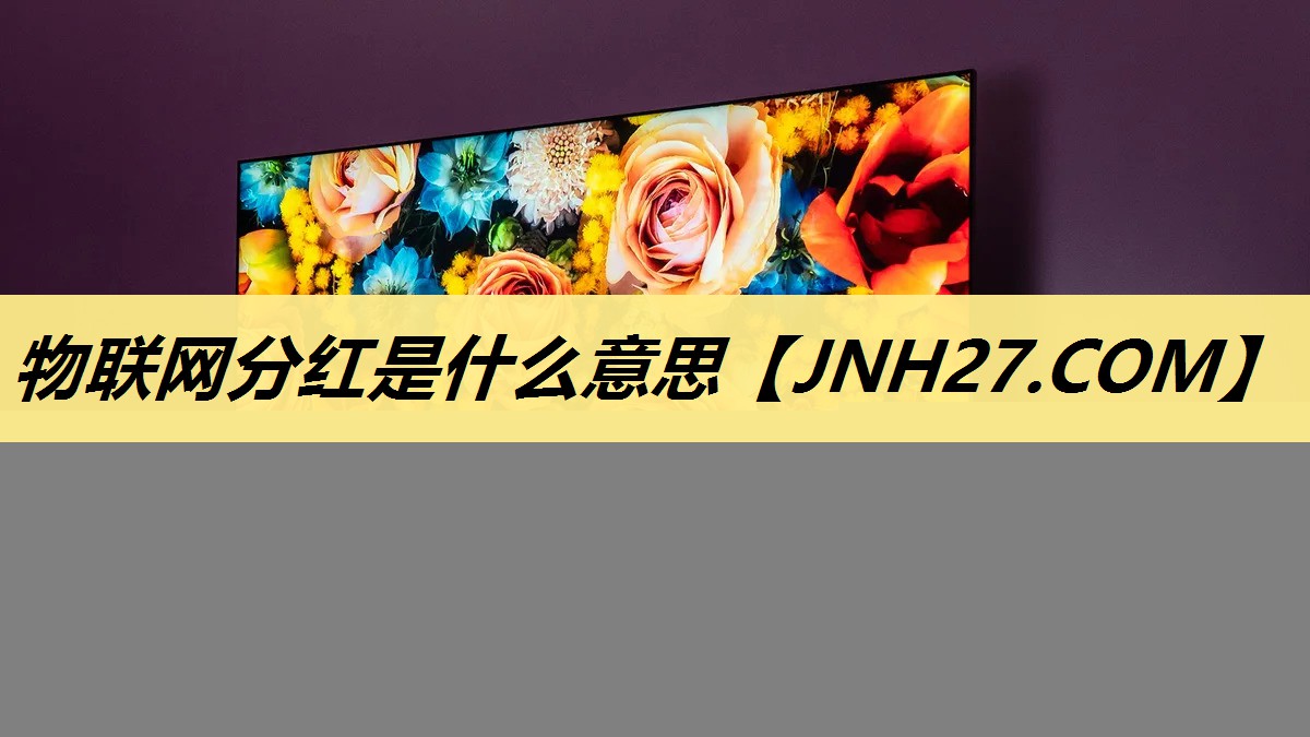 物联网分红是什么意思